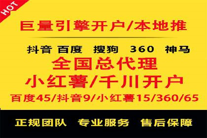 百度竞价推广成功案例解析